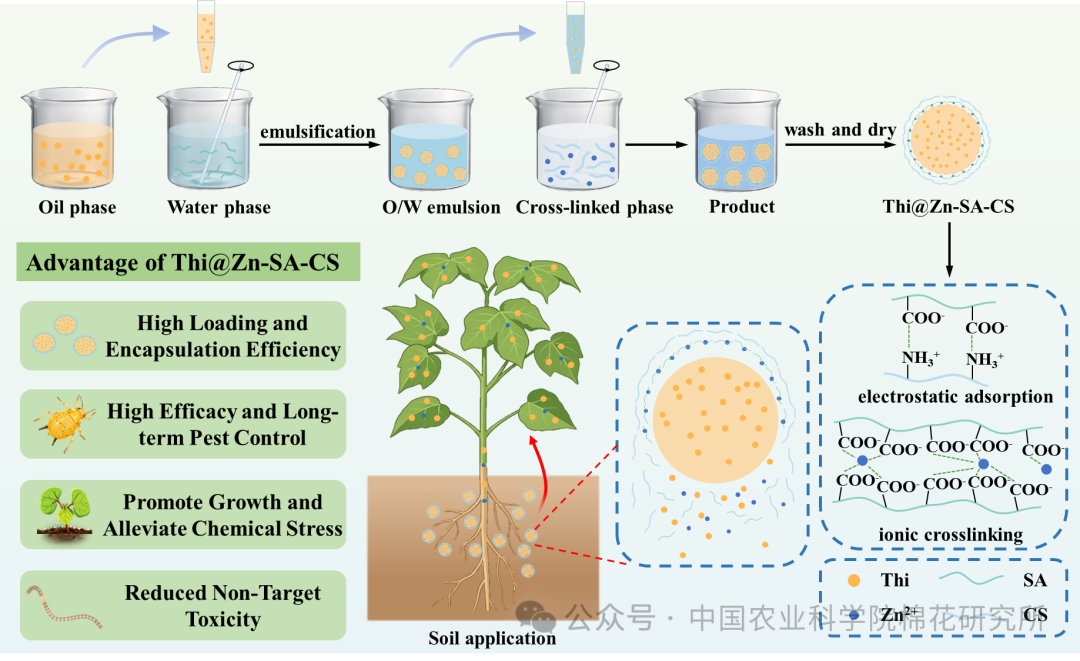 新型噻虫啉微胶囊实现″药肥一体化″绿色防控