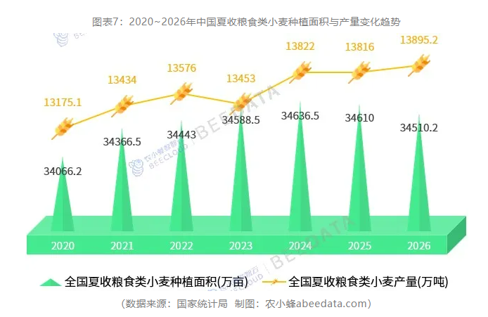 中国夏粮产量首次突破1.5亿吨!河南、山东、安徽稳居前三