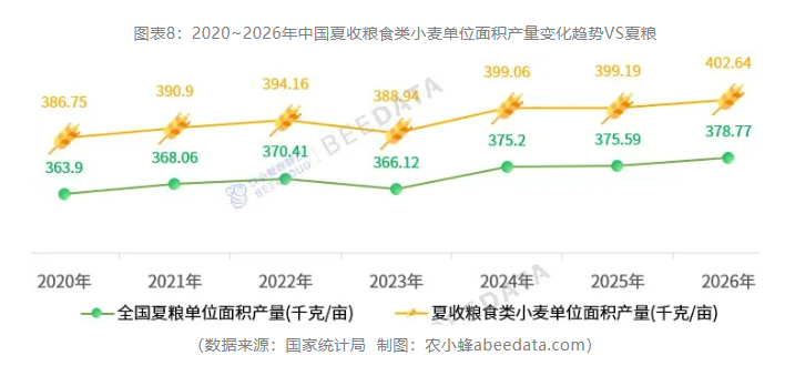 中国夏粮产量首次突破1.5亿吨!河南、山东、安徽稳居前三