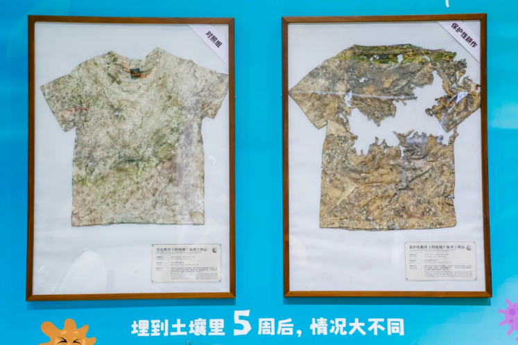 先正达集团中国持续推广再生农业实践,形成一批可复制的落地成果