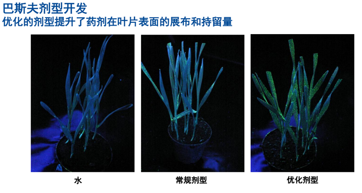 农药研发还在靠筛选吗？从分子设计到制剂突围，两大跨国巨头给出答案