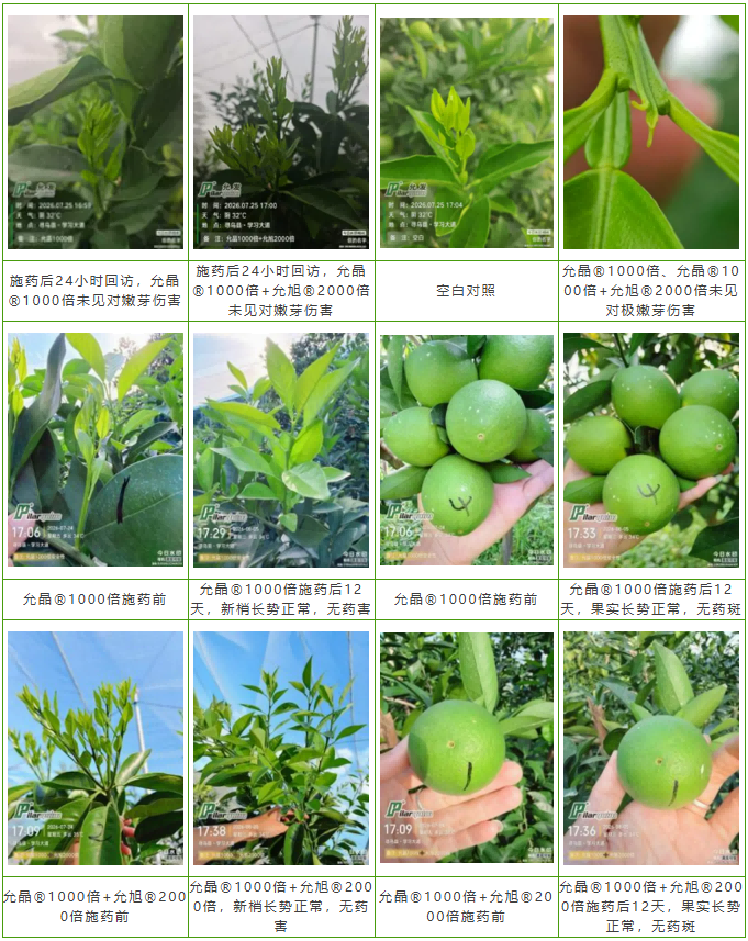炔螨特微胶囊产品允晶®全新上市，为抗性红蜘蛛解决方案而生