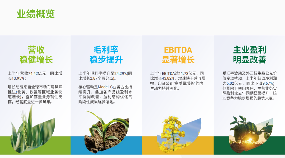 润丰股份2026H1:营收74.42亿元,Model C 业务加速成长,新获500余项登记