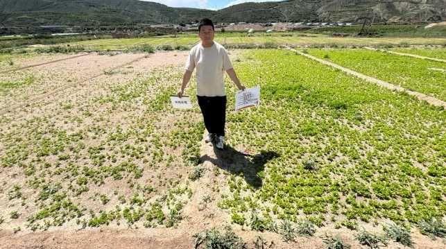 山东康乔推出″药肥一体″新品地善堂®,为土传病害综合治理提供新选择