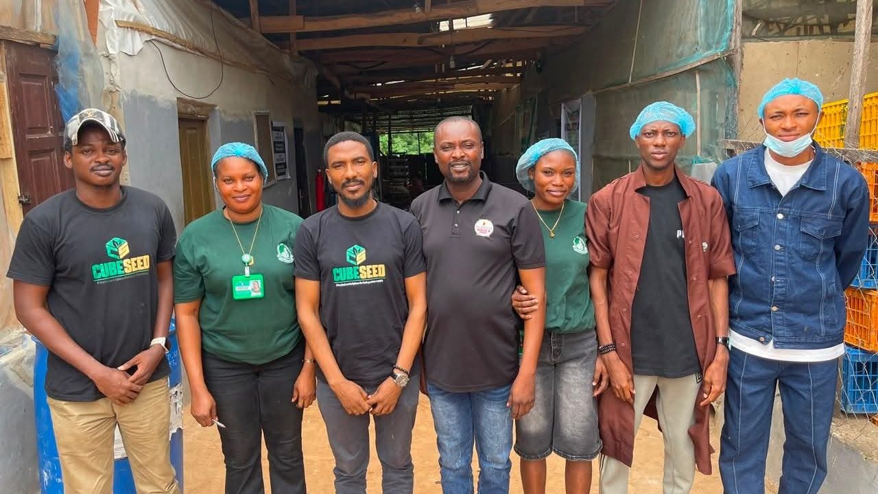 The Execution Principles Behind Cubeseed Africa: How a Marketplace Was Built for Africa’s Livestock Industry