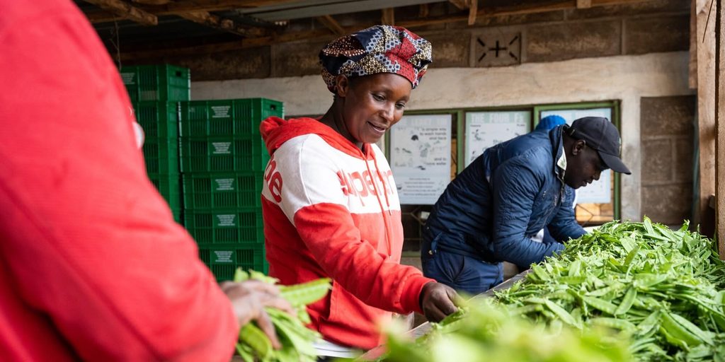 Why Africa’s Food Processing Sector Needs More Innovation