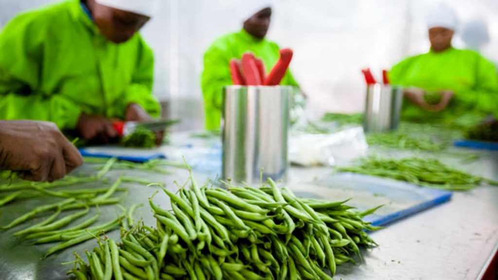 Why Africa’s Food Processing Sector Needs More Innovation
