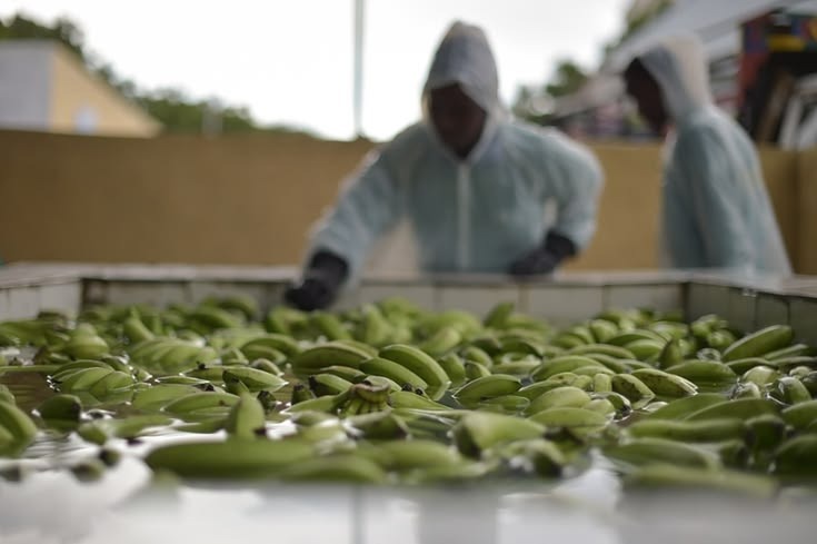 Why Africa’s Food Processing Sector Needs More Innovation