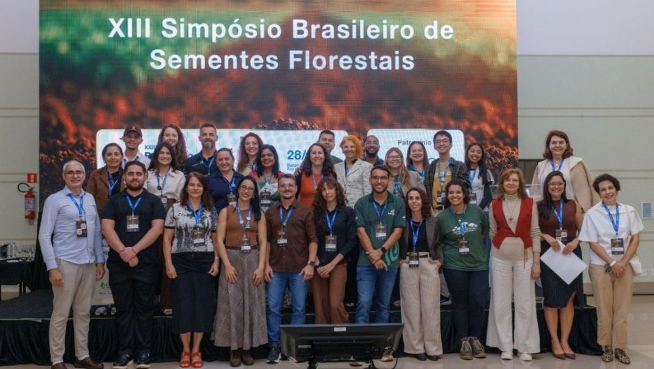 Sementes florestais ganham destaque na restauração dos biomas