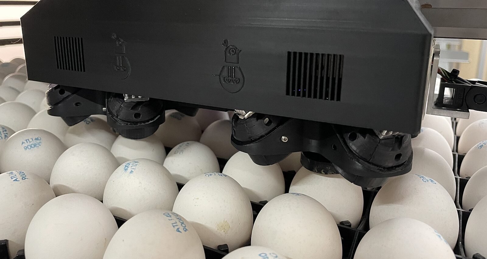 In ovo sexing hits 40% penetration in the EU. What will it take to crack the US?