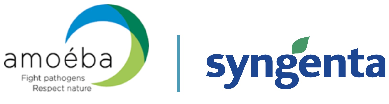 Syngenta e Amoéba celebram acordo para biofungicida em cereais