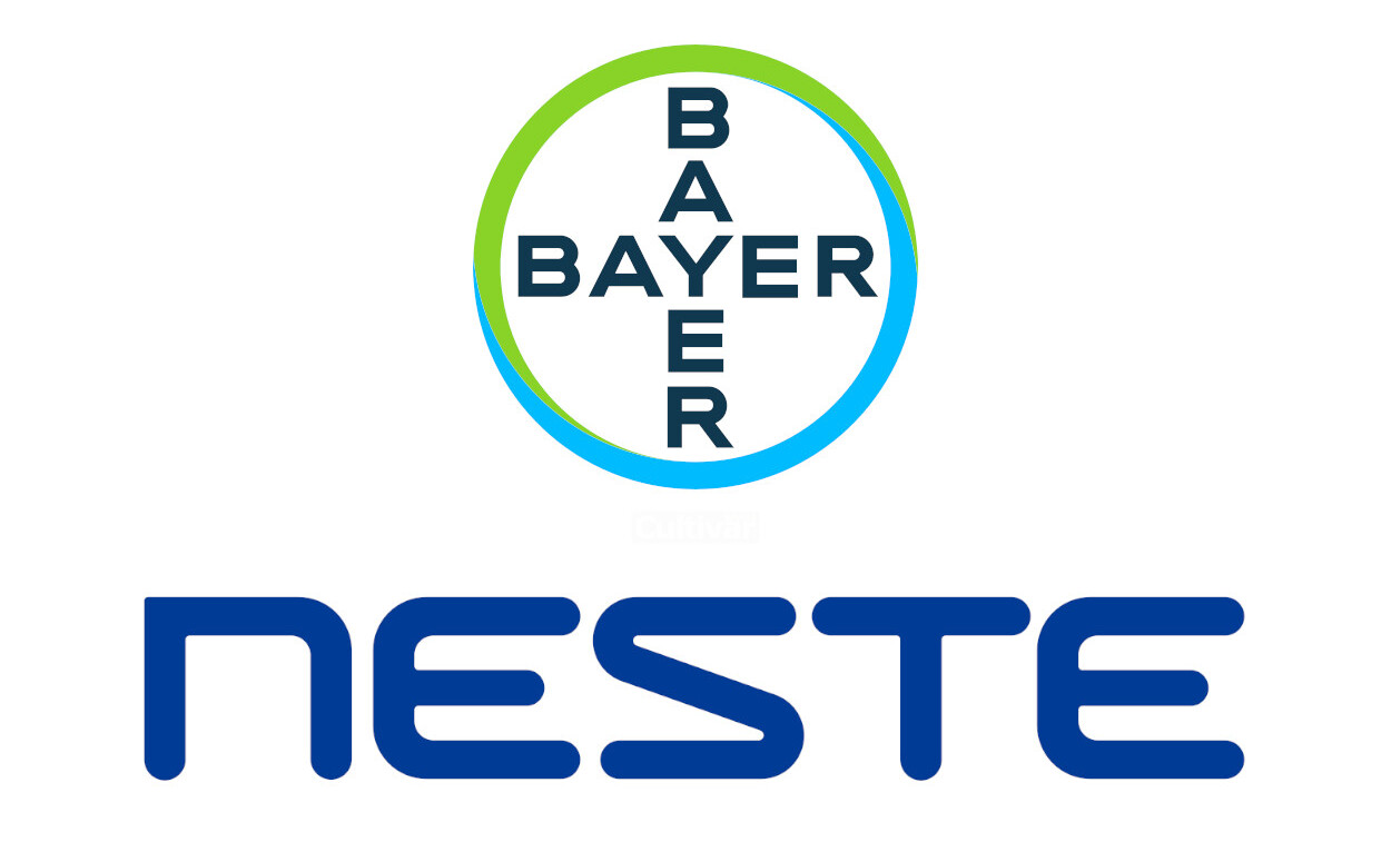 Bayer e Neste ampliam canola de inverno para biocombustíveis
