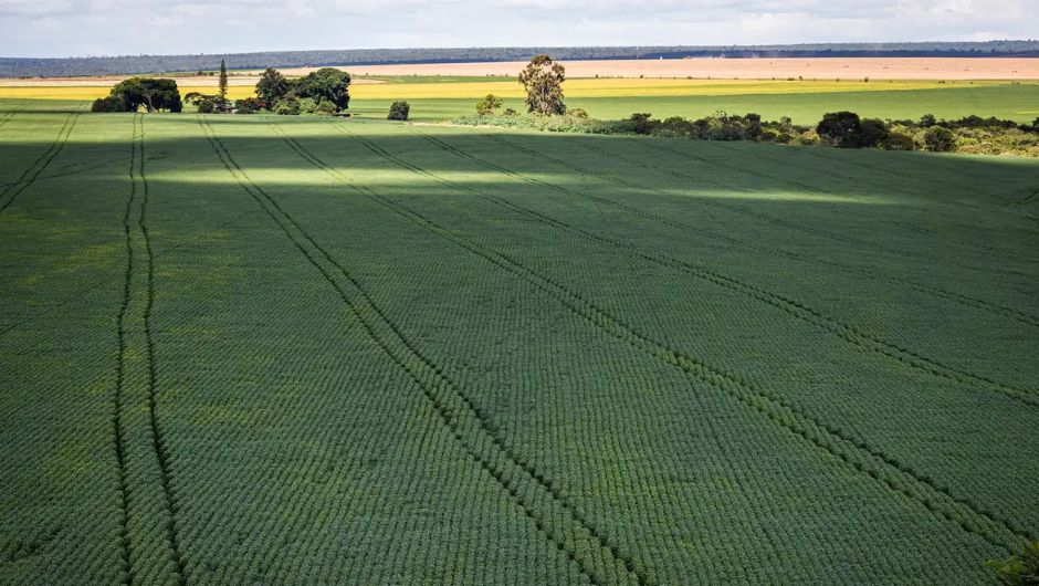 CMN amplia renegociação de dívidas rurais por eventos climáticos