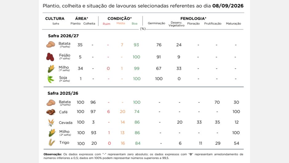 PR Safra 2025/26: clima dita ritmo da colheita do trigo