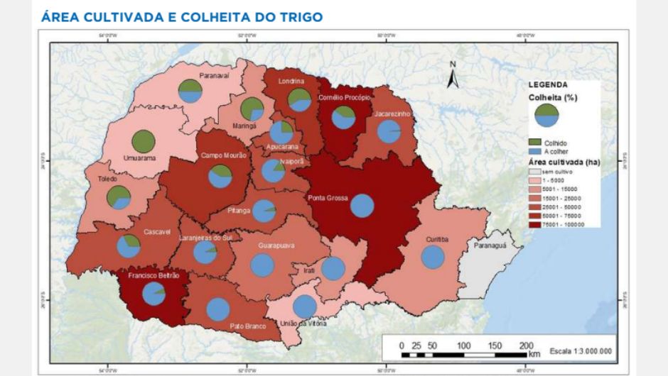PR Safra 2025/26: clima dita ritmo da colheita do trigo