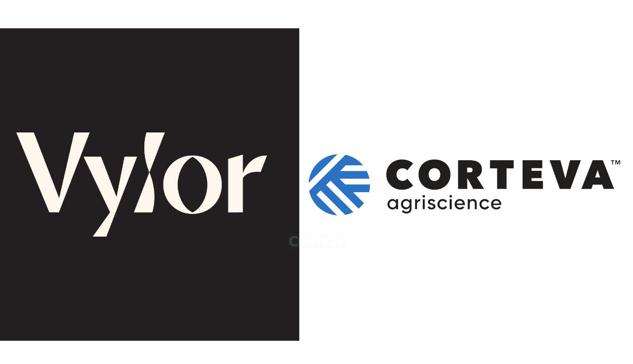 Conselho da Corteva aprova cisão da Vylor