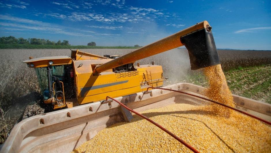 Coamo recebe recorde de 68,5 milhões de sacas de milho