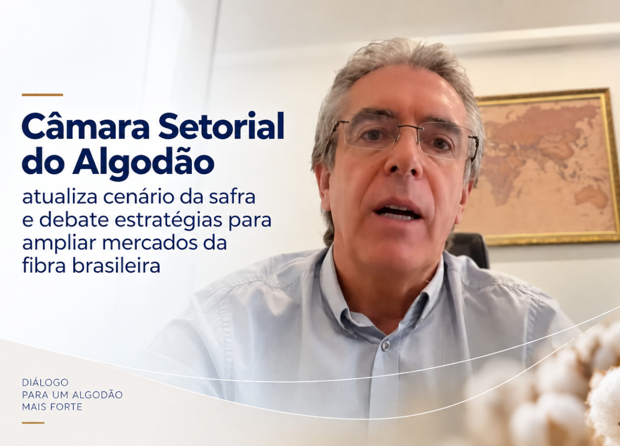 Safra de algodão pode superar 4,1 milhões de toneladas, prevê Abrapa