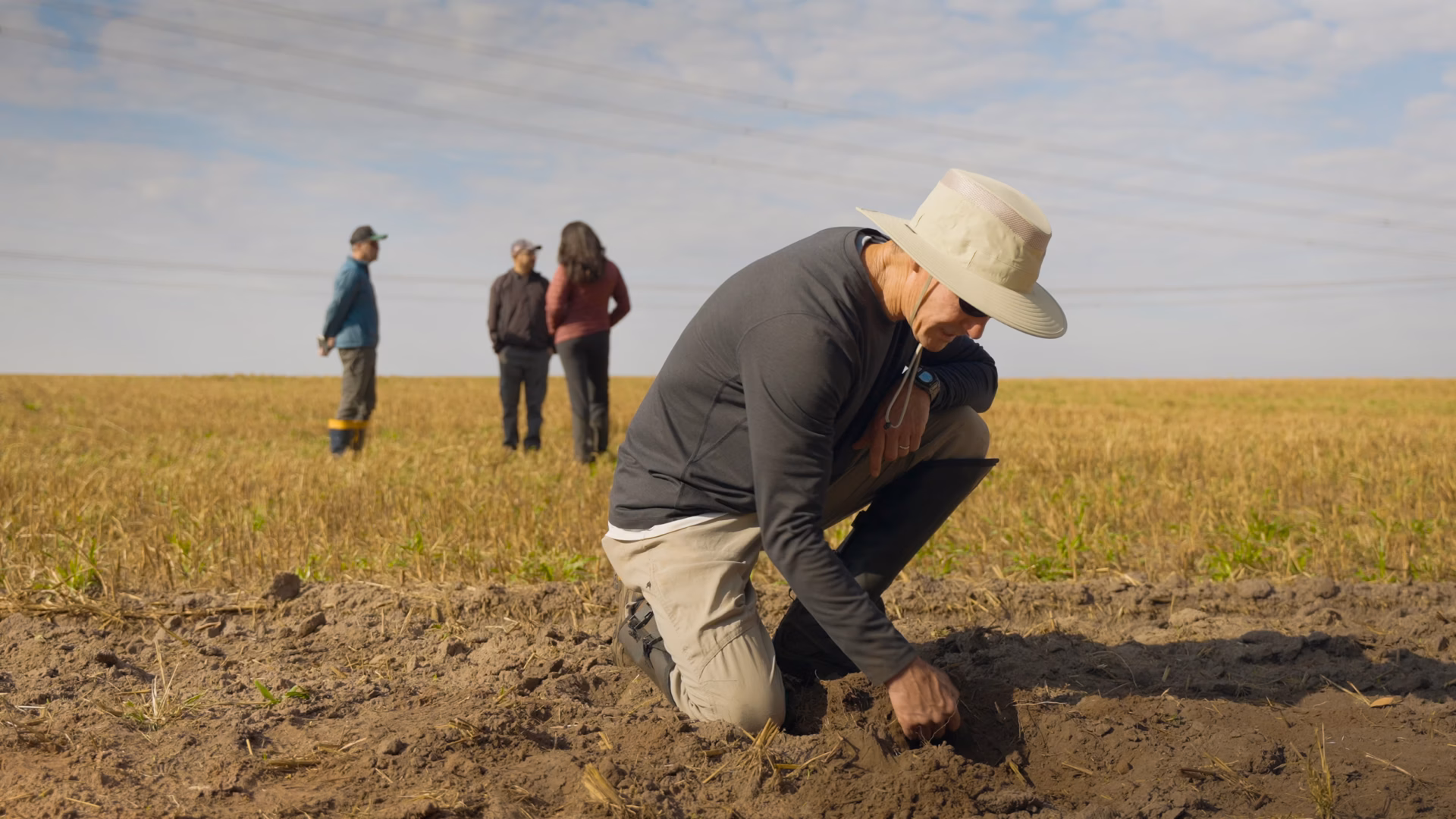 AgriFood Signals: Syngenta HK IPO, Terradot and Google do enhanced rock weathering, Corteva split lawsuits