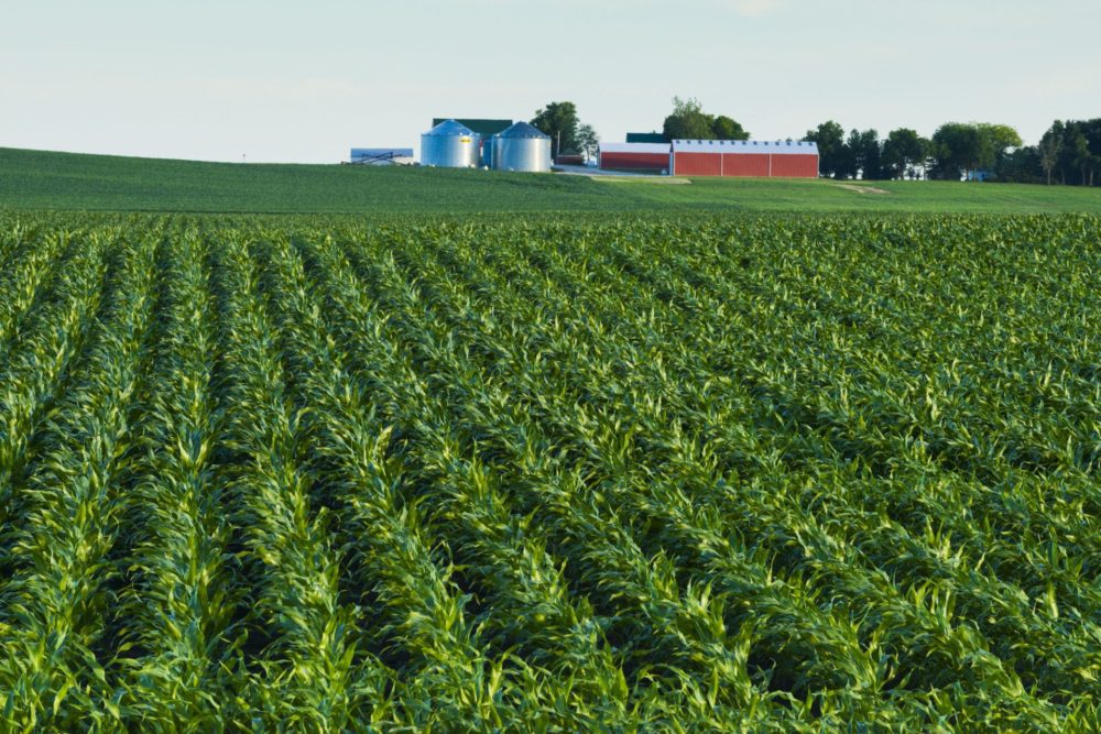 AgriFood Signals: Confido raises $55m to help CPGs, Tesco backs Henry Dimbleby’s fund, UPF food labeling