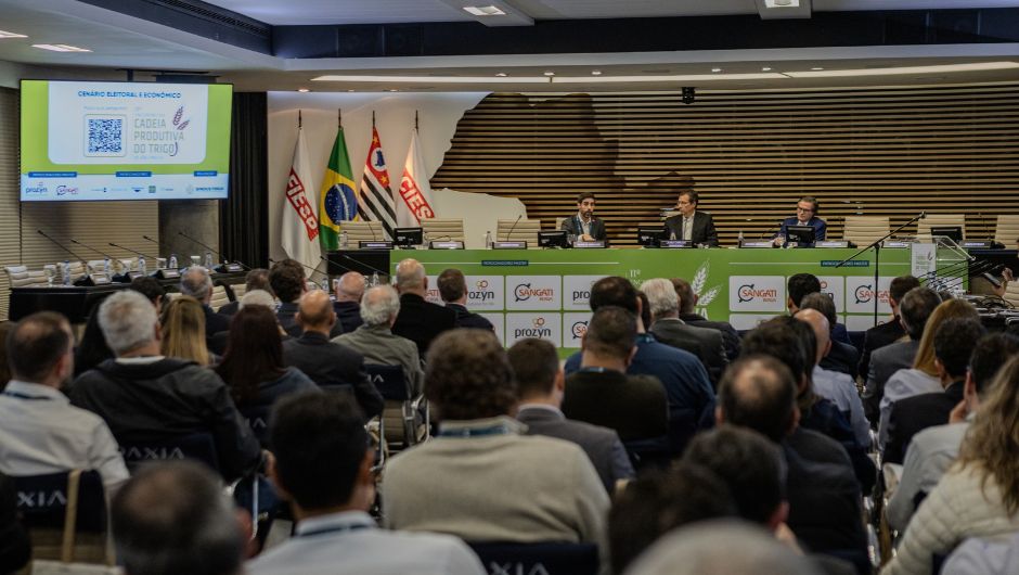Trigo paulista registra avanços, mas clima afeta produção