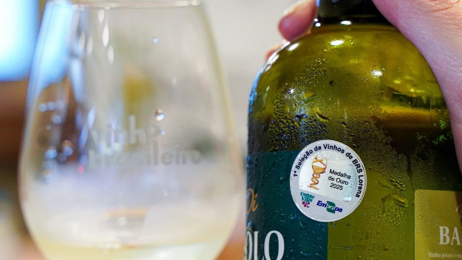 Inscrições para Seleção de Vinhos BRS Lorena são prorrogadas