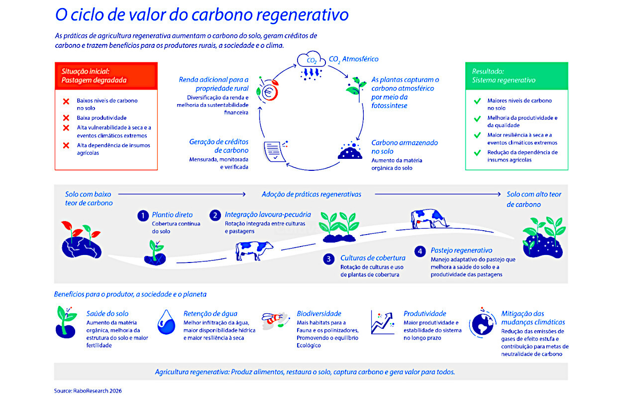 Brasil avança em projetos de carbono no solo