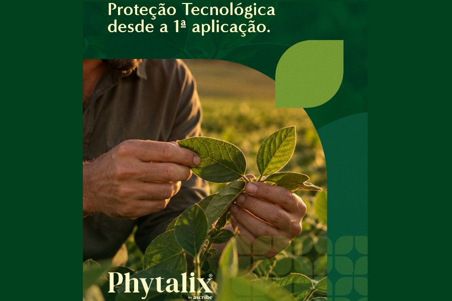 MAPA aprova PhytalixⓇ, uma nova molécula de proteção de cultivos que ativa a imunidade vegetal