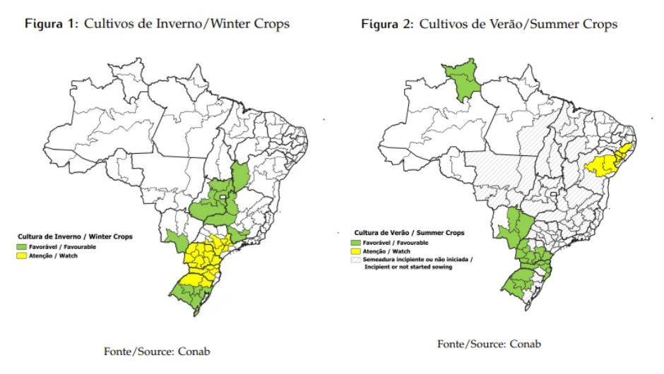 Chuvas favorecem plantio da safra 2026/27 em diferentes regiões