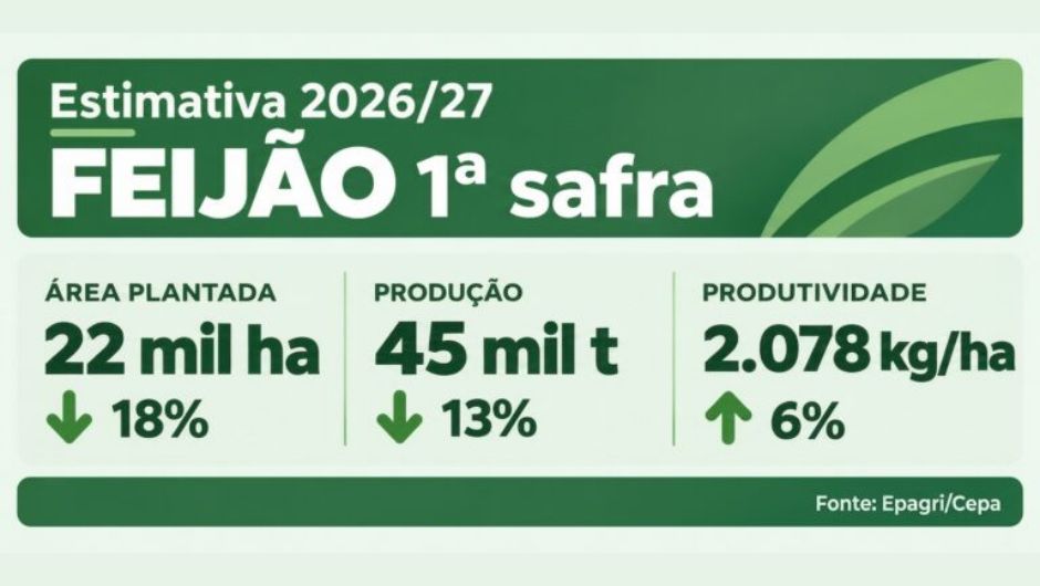 El Niño traz desafios para a safra de verão 2026/27 em SC