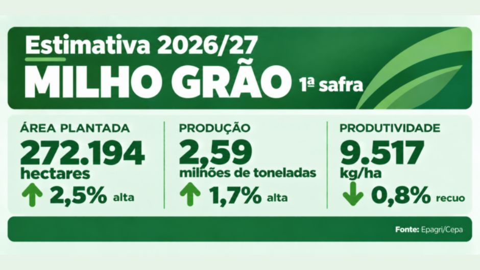 El Niño traz desafios para a safra de verão 2026/27 em SC