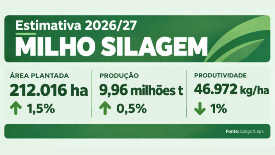 El Niño traz desafios para a safra de verão 2026/27 em SC