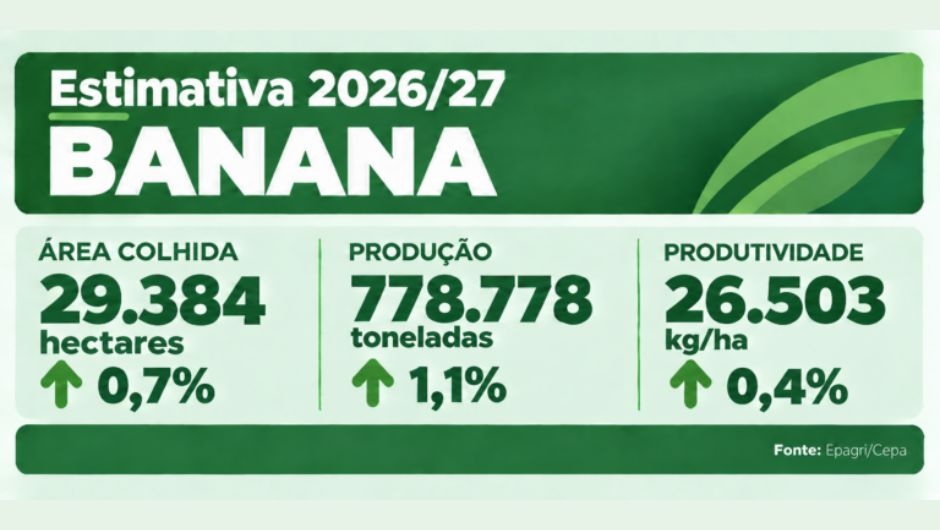 El Niño traz desafios para a safra de verão 2026/27 em SC