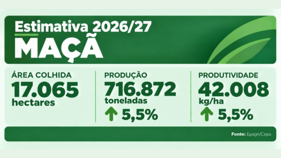 El Niño traz desafios para a safra de verão 2026/27 em SC