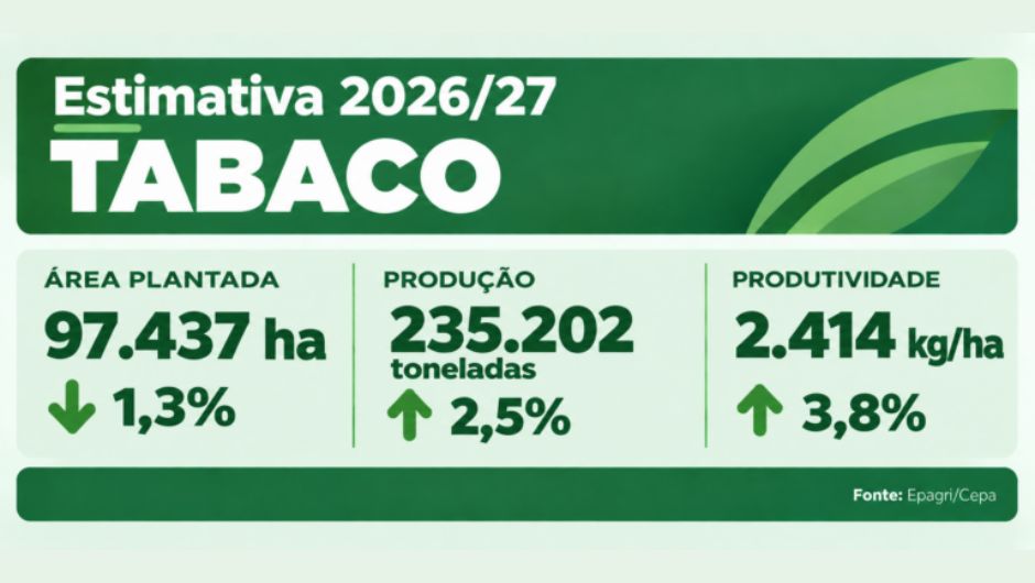 El Niño traz desafios para a safra de verão 2026/27 em SC