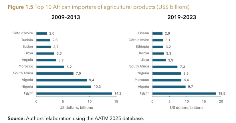 The $100 Billion Leak in Africa’s Food System