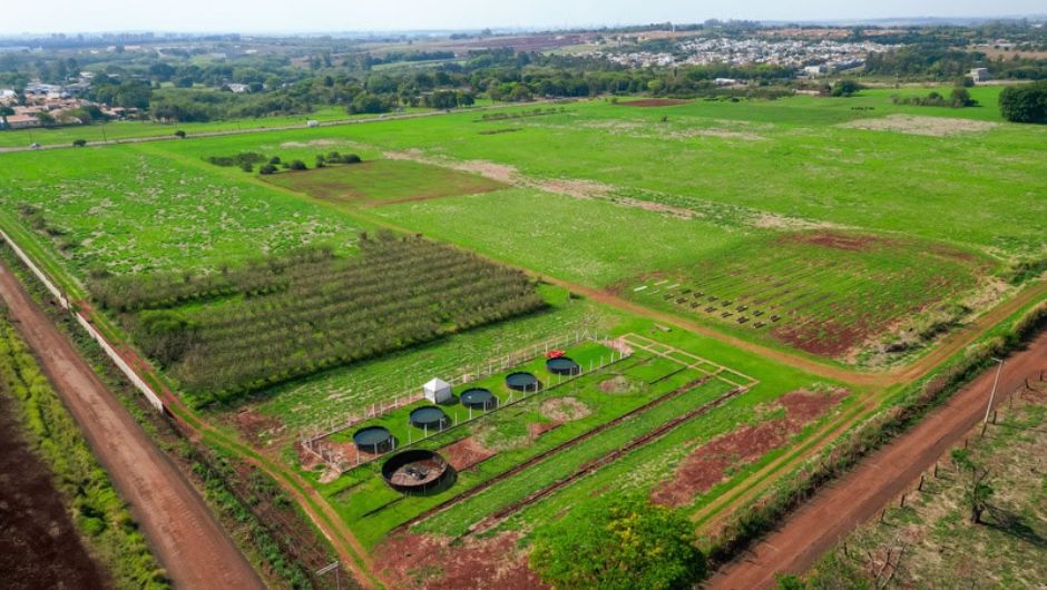 Unicamp abre 7,7 hectares para testes de tecnologias agrícolas