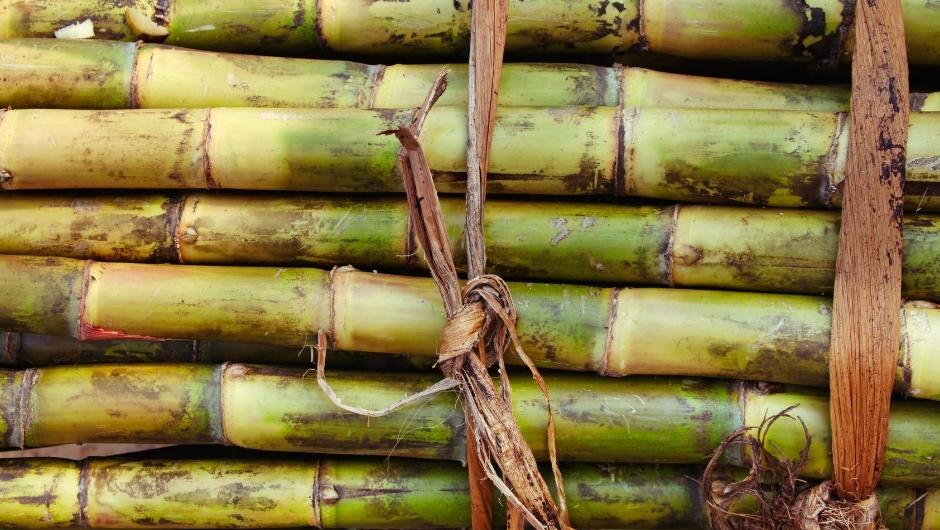 El Niño eleva riscos para commodities agrícolas no 4º trimestre