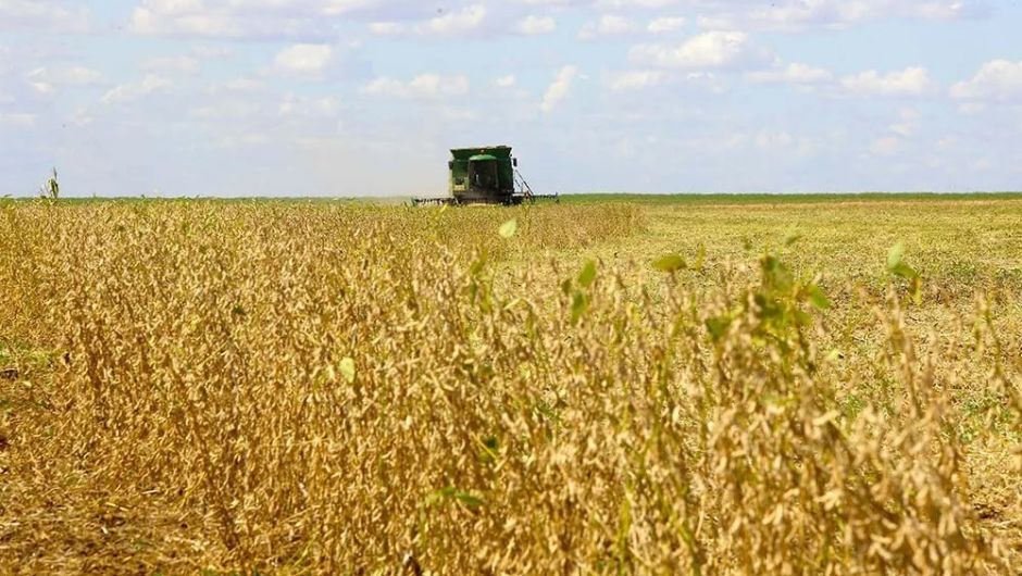 Exportações do Paraná crescem 5,5% até setembro