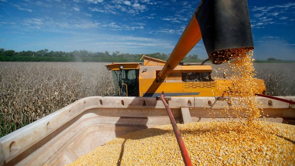 USDA surpreende mercado com oferta maior de milho nos EUA