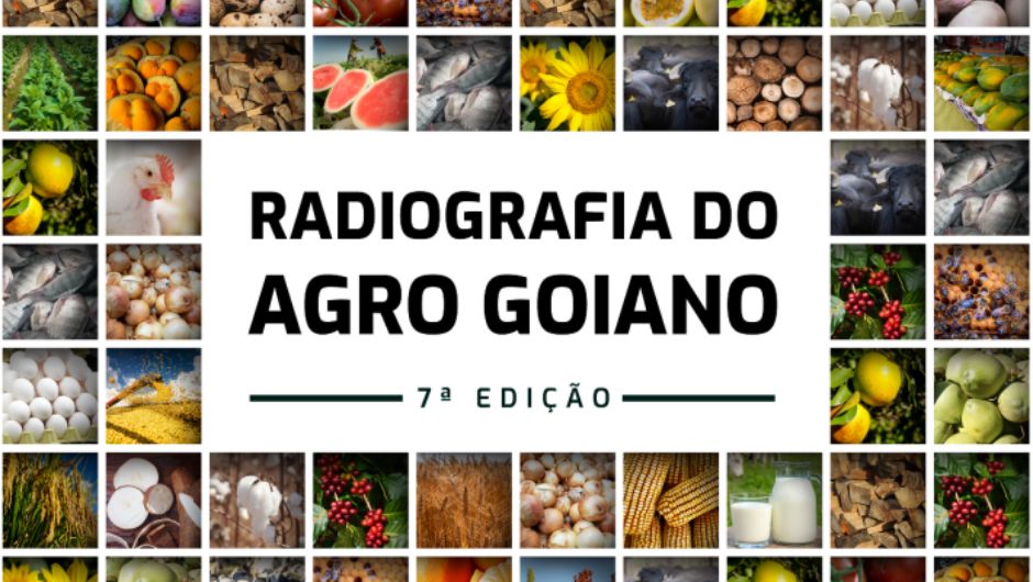 Goiás registra US$ 13,4 bilhões em exportações em 2025