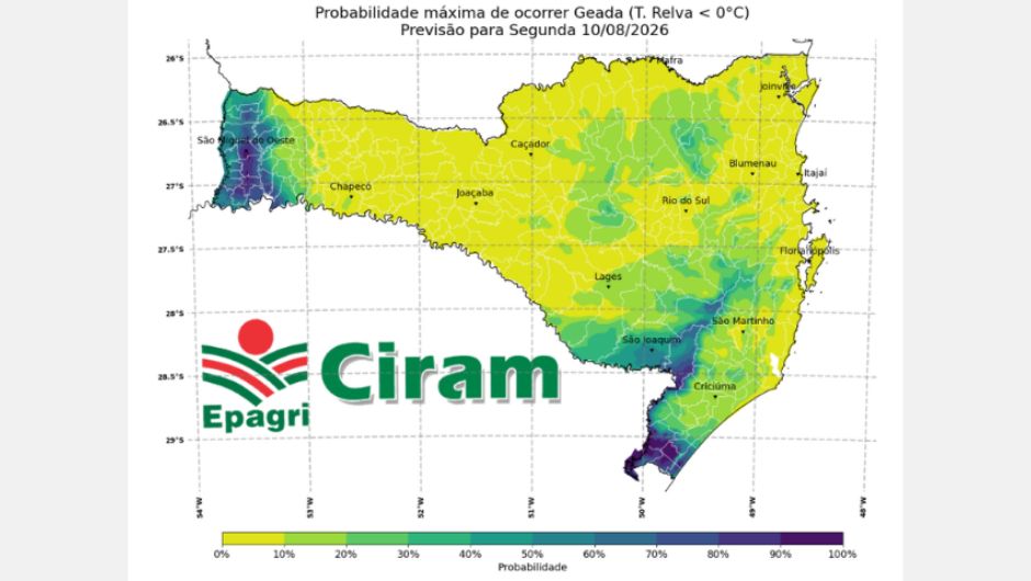 Previsão de geadas ajuda a proteger lavouras em SC