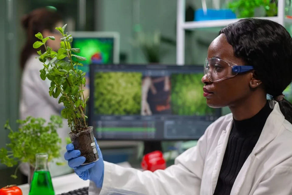 FAO Forum To Spotlight African AI Tools Tackling Crop And Climate Challenges