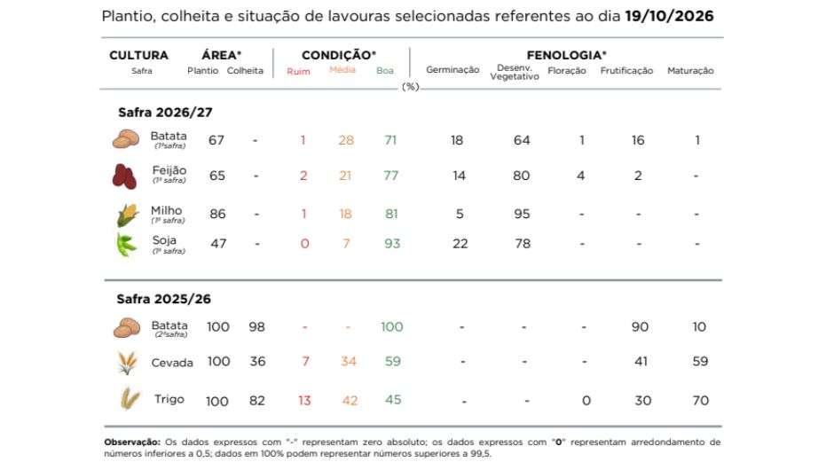 PR Safra 2026/27: chuvas afetam culturas de verão e inverno