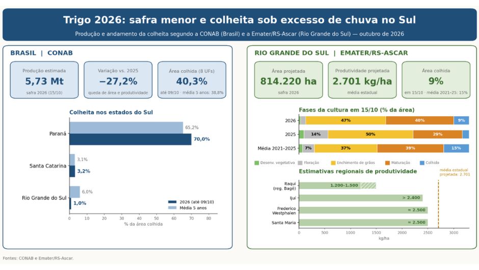 Excesso de chuva compromete lavouras de trigo no Sul
