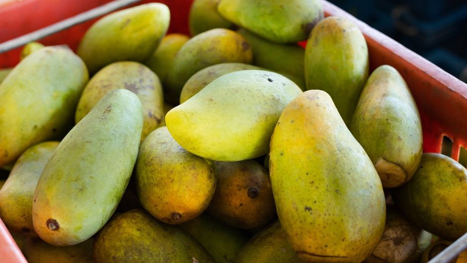 Exportações de frutas crescem 8% em receita no Brasil