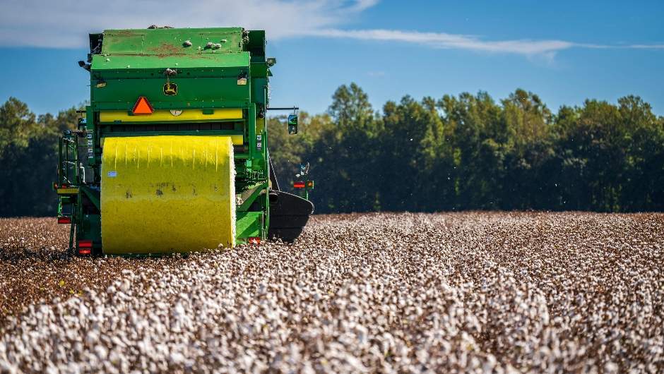 Safra de algodão deve chegar a 4,27 milhões de toneladas
