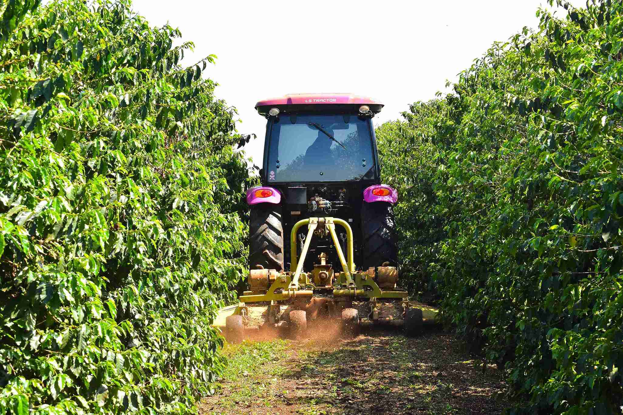 Test drive exclusivo com o trator MT4 70, da LS Tractor