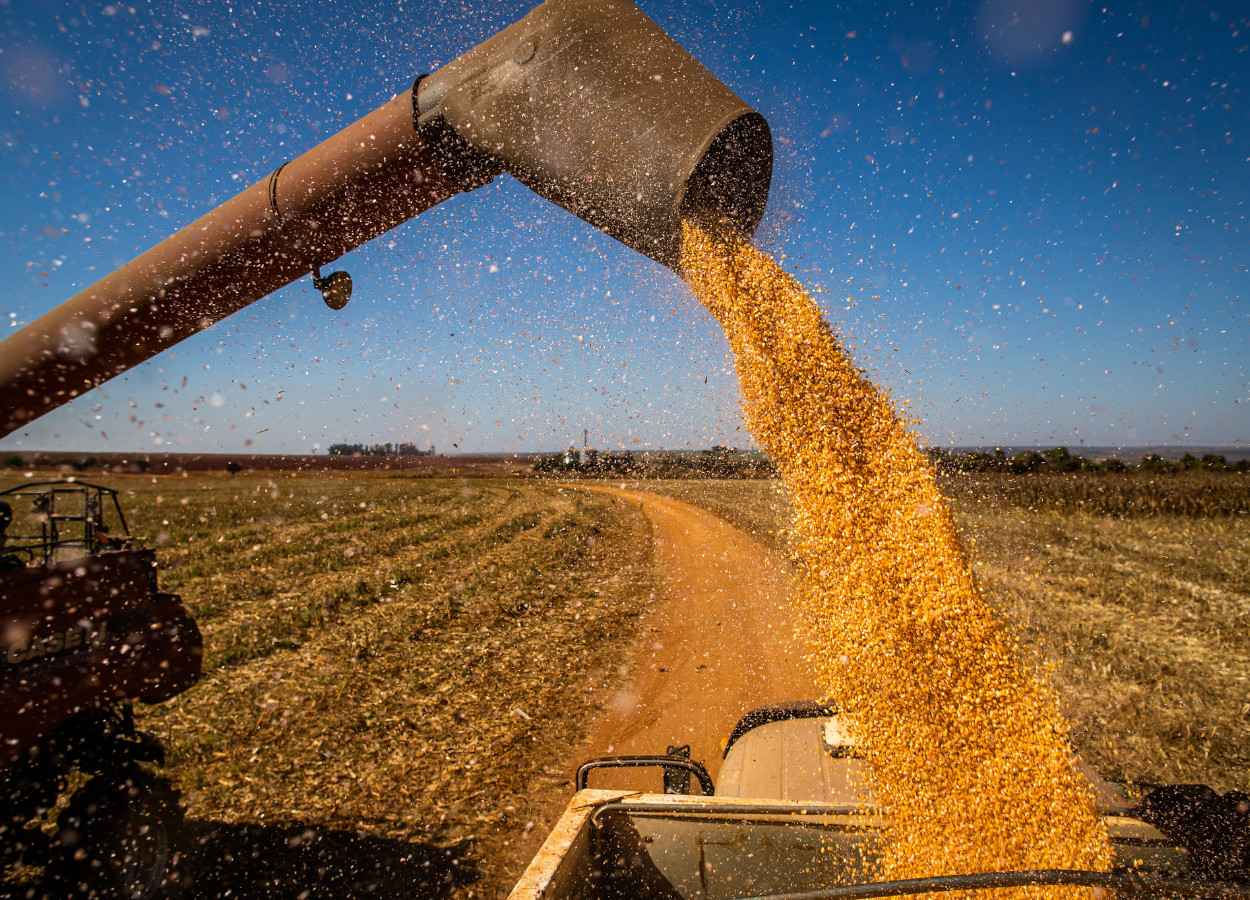 Exportações agroindustriais da Argentina batem recorde em setembro