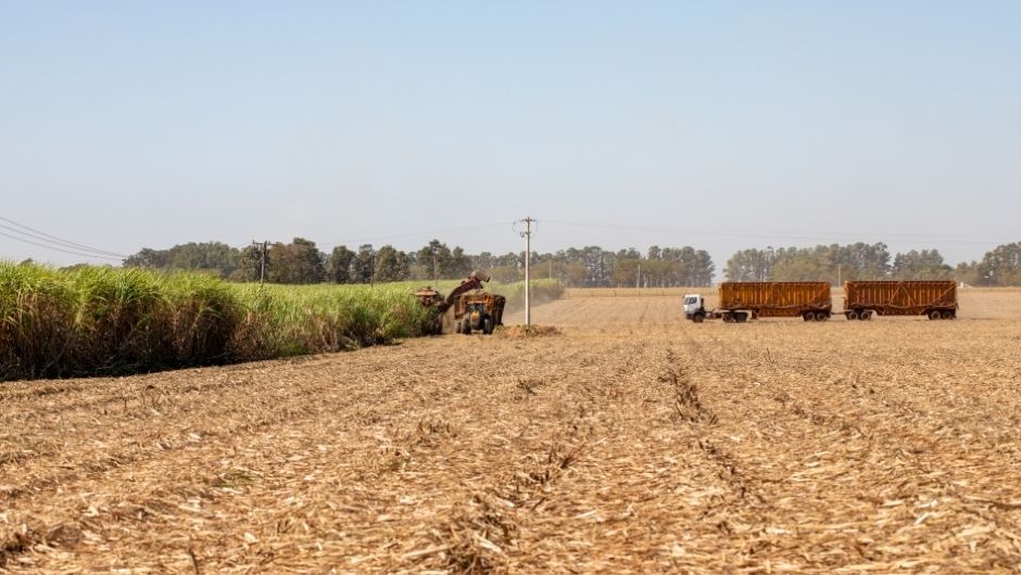 Vendas de etanol no mercado interno batem recorde em agosto